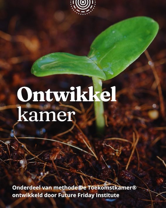 10. ontwikkelkamer