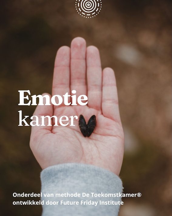 3. emotiekamer